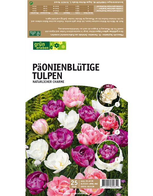 Gefüllte späte Tulpen