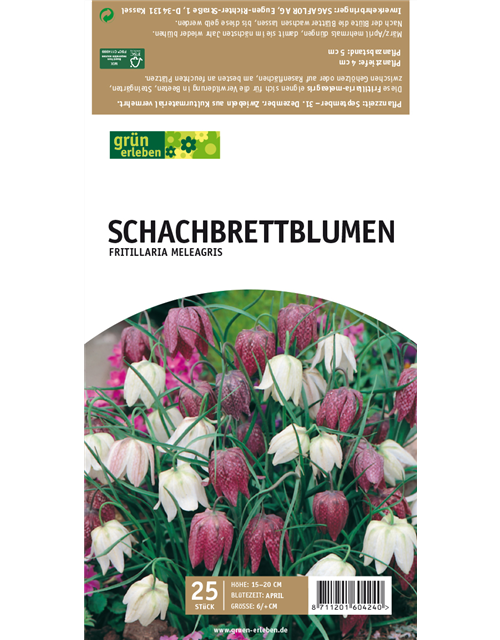 Schachbrettblumen