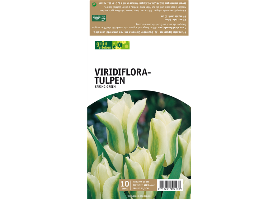 Viridiflora-Tulpen