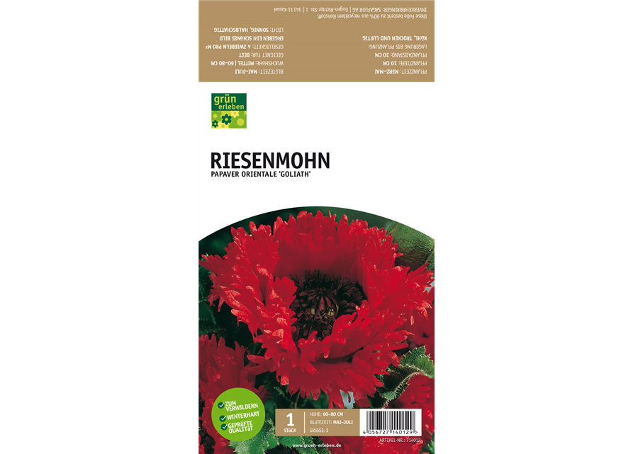 Riesenmohn