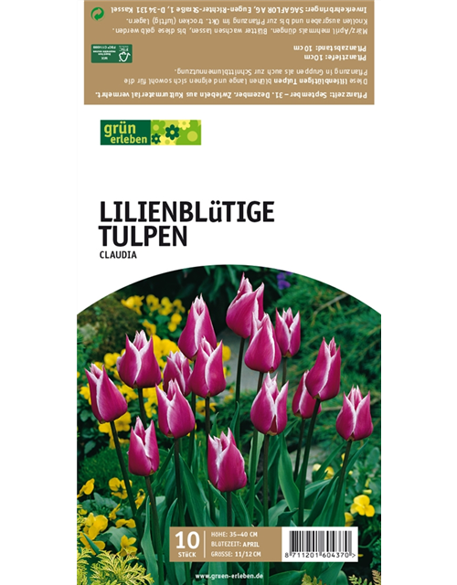 Lilienblütige Tulpen