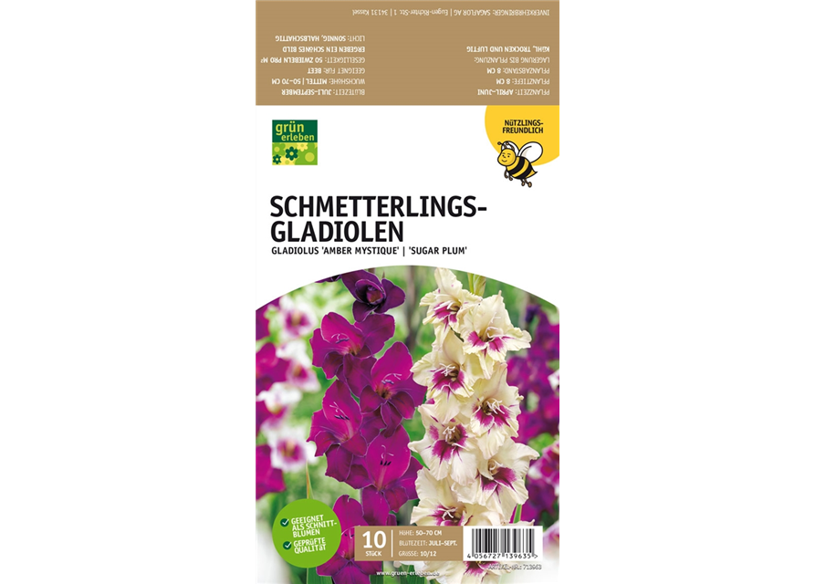 Schmetterlings-Gladiolen