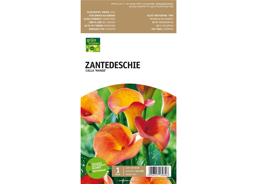 Zantedeschie