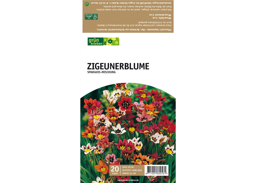 Zigeunerblume